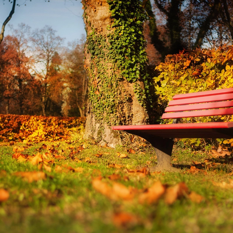 Eine rote Bank in einem herbstlichen Park, ein roter Luftballen fliegt in der Luft
